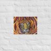 Tiger Print - Image 3